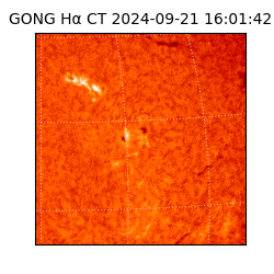 gong - 2024-09-21T16:01:42