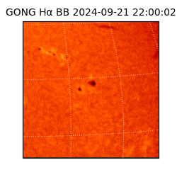gong - 2024-09-21T22:00:02