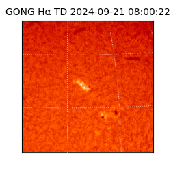 gong - 2024-09-21T08:00:22