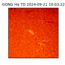 gong - 2024-09-21T10:03:22