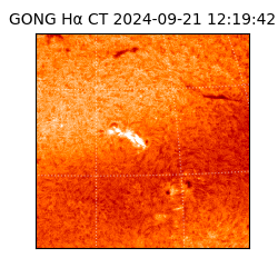 gong - 2024-09-21T12:19:42