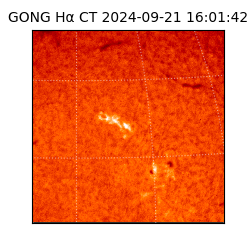 gong - 2024-09-21T16:01:42
