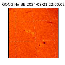 gong - 2024-09-21T22:00:02