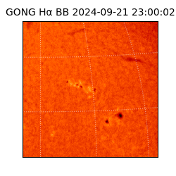 gong - 2024-09-21T23:00:02