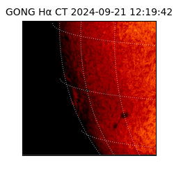 gong - 2024-09-21T12:19:42
