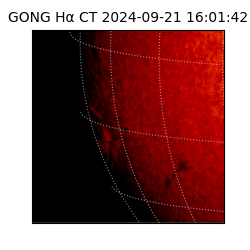 gong - 2024-09-21T16:01:42