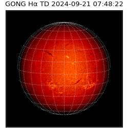 gong - 2024-09-21T07:48:22