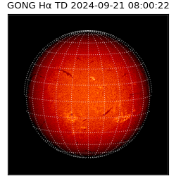 gong - 2024-09-21T08:00:22