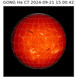 gong - 2024-09-21T15:00:42