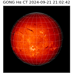 gong - 2024-09-21T21:02:42