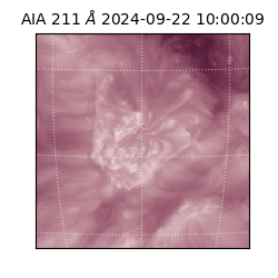 saia - 2024-09-22T10:00:09.626000