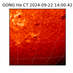 gong - 2024-09-22T14:00:42