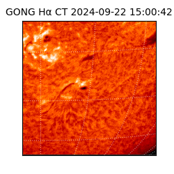 gong - 2024-09-22T15:00:42