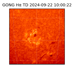 gong - 2024-09-22T10:00:22