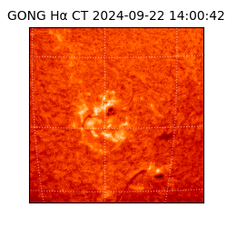 gong - 2024-09-22T14:00:42