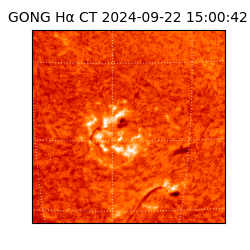 gong - 2024-09-22T15:00:42