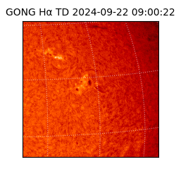 gong - 2024-09-22T09:00:22