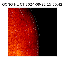 gong - 2024-09-22T15:00:42
