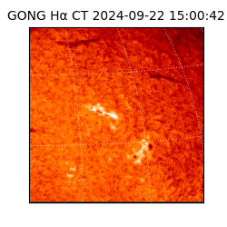 gong - 2024-09-22T15:00:42
