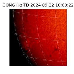 gong - 2024-09-22T10:00:22