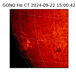 gong - 2024-09-22T15:00:42