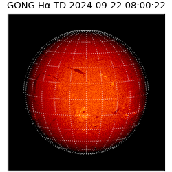 gong - 2024-09-22T08:00:22