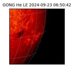 gong - 2024-09-23T06:50:42