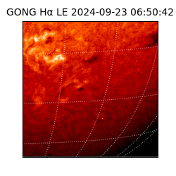 gong - 2024-09-23T06:50:42