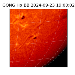 gong - 2024-09-23T19:00:02