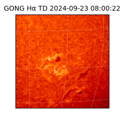 gong - 2024-09-23T08:00:22