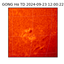 gong - 2024-09-23T12:00:22