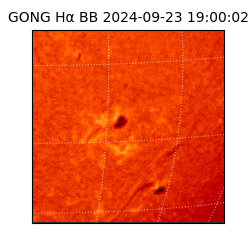 gong - 2024-09-23T19:00:02