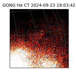 gong - 2024-09-23T18:03:42