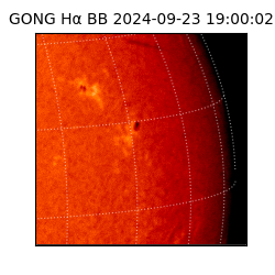 gong - 2024-09-23T19:00:02
