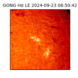 gong - 2024-09-23T06:50:42