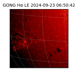 gong - 2024-09-23T06:50:42