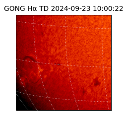 gong - 2024-09-23T10:00:22