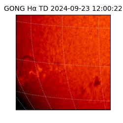 gong - 2024-09-23T12:00:22