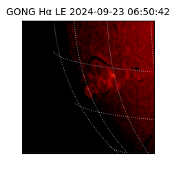 gong - 2024-09-23T06:50:42
