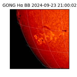 gong - 2024-09-23T21:00:02