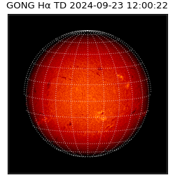 gong - 2024-09-23T12:00:22