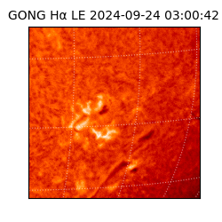 gong - 2024-09-24T03:00:42