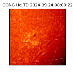 gong - 2024-09-24T08:00:22