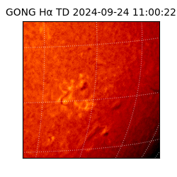 gong - 2024-09-24T11:00:22