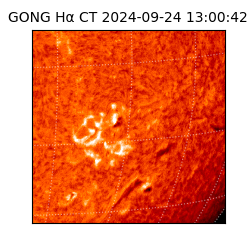 gong - 2024-09-24T13:00:42