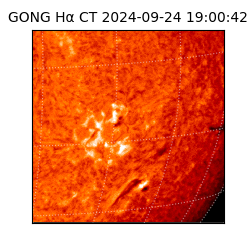 gong - 2024-09-24T19:00:42