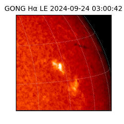 gong - 2024-09-24T03:00:42