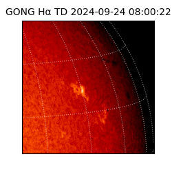 gong - 2024-09-24T08:00:22