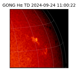 gong - 2024-09-24T11:00:22