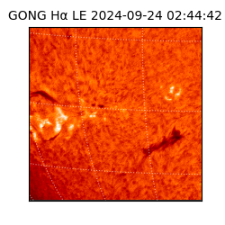 gong - 2024-09-24T02:44:42